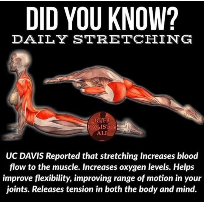 Stretching Did You Know