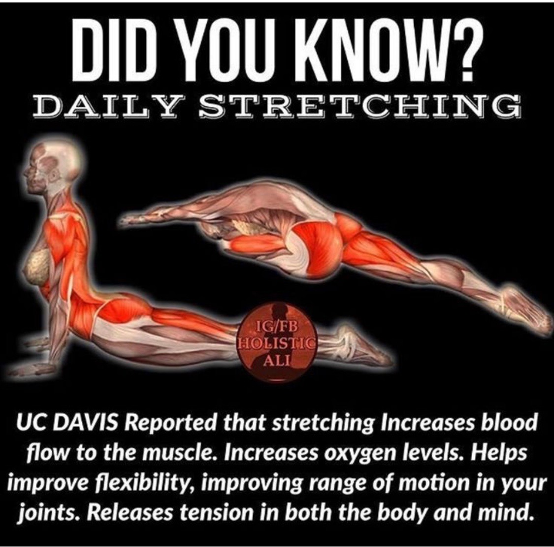 Stretching Did You Know