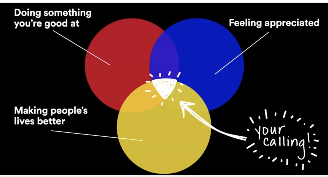 Finding Your Calling - Ideas from TED